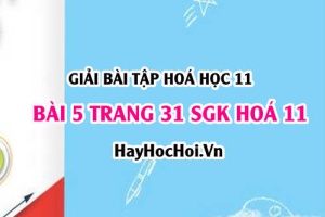 Giải bài 5 trang 31 SGK Hoá 11: Tính chất hoá học của Nitơ